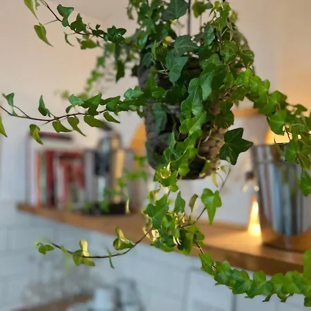 Charming In The Heart Of Appartement